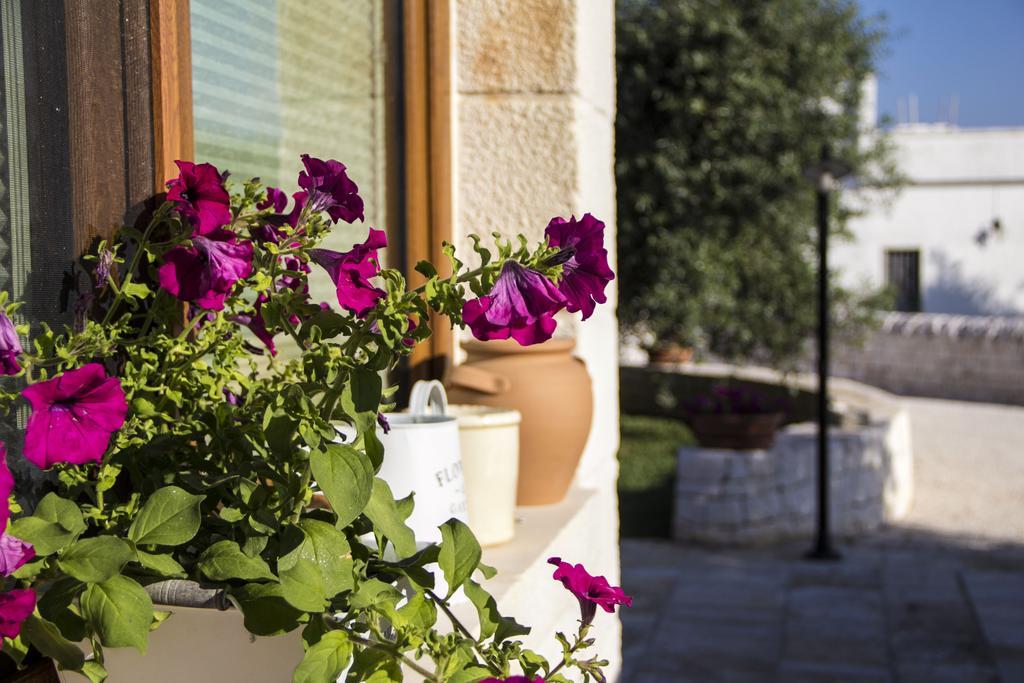 Bed and Breakfast La Gazza Ladra à Alberobello Extérieur photo